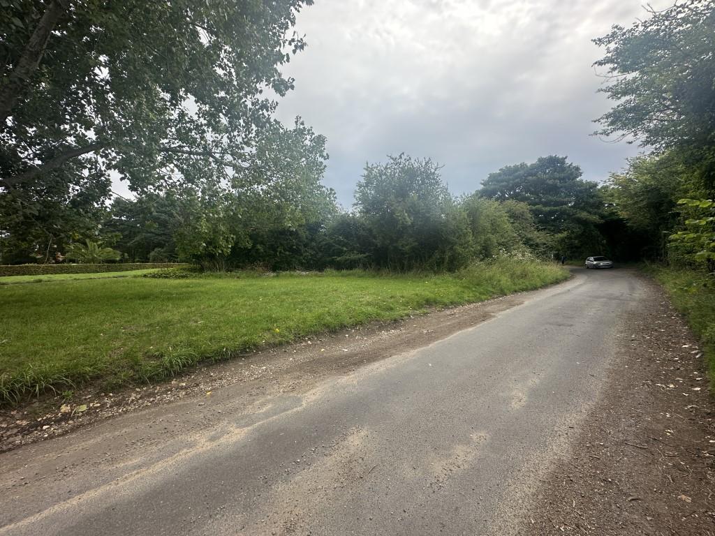 6  Medium  T202508131644.jpg