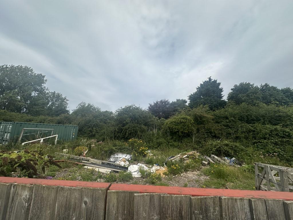 7  Medium  T202508131644.jpg