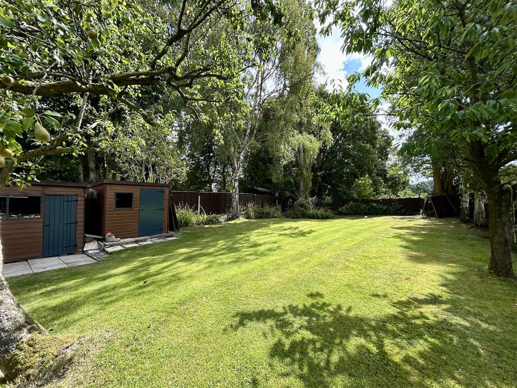 IMG 0558.jpeg