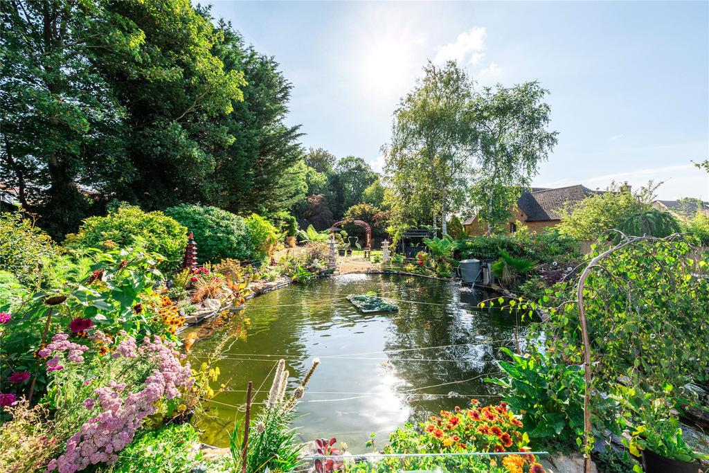 Koi Pond