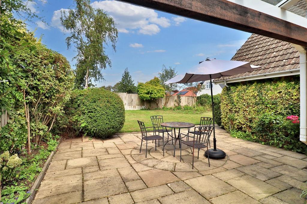 Rear Garden II