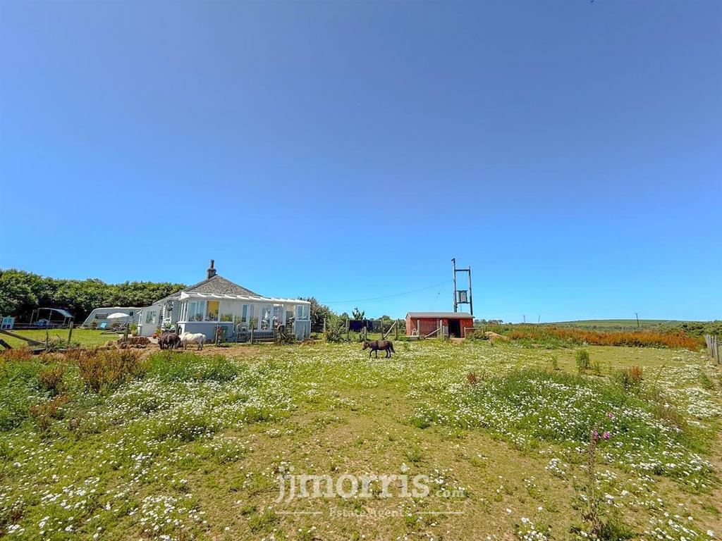 0 f9 f5 e8 e 9 f24 4782 953 e cf3 ac511 d442.jpeg