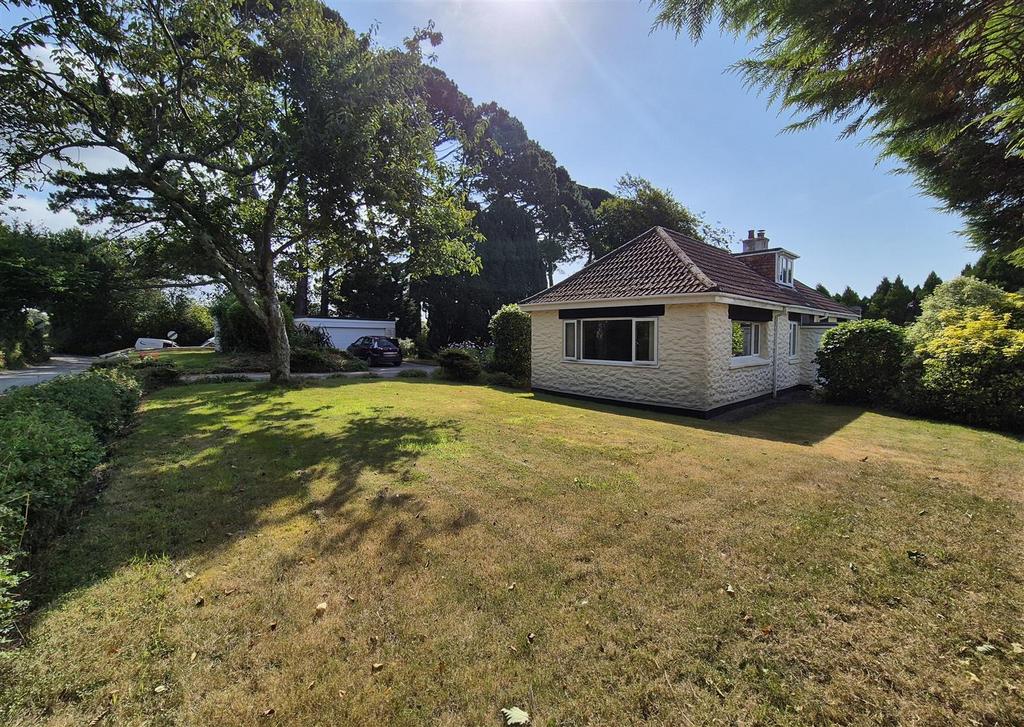 Front garden and garage.jpg