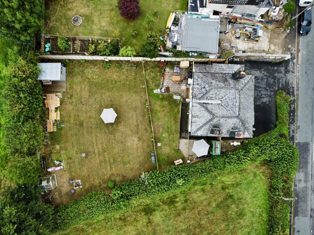 Birds Eye
