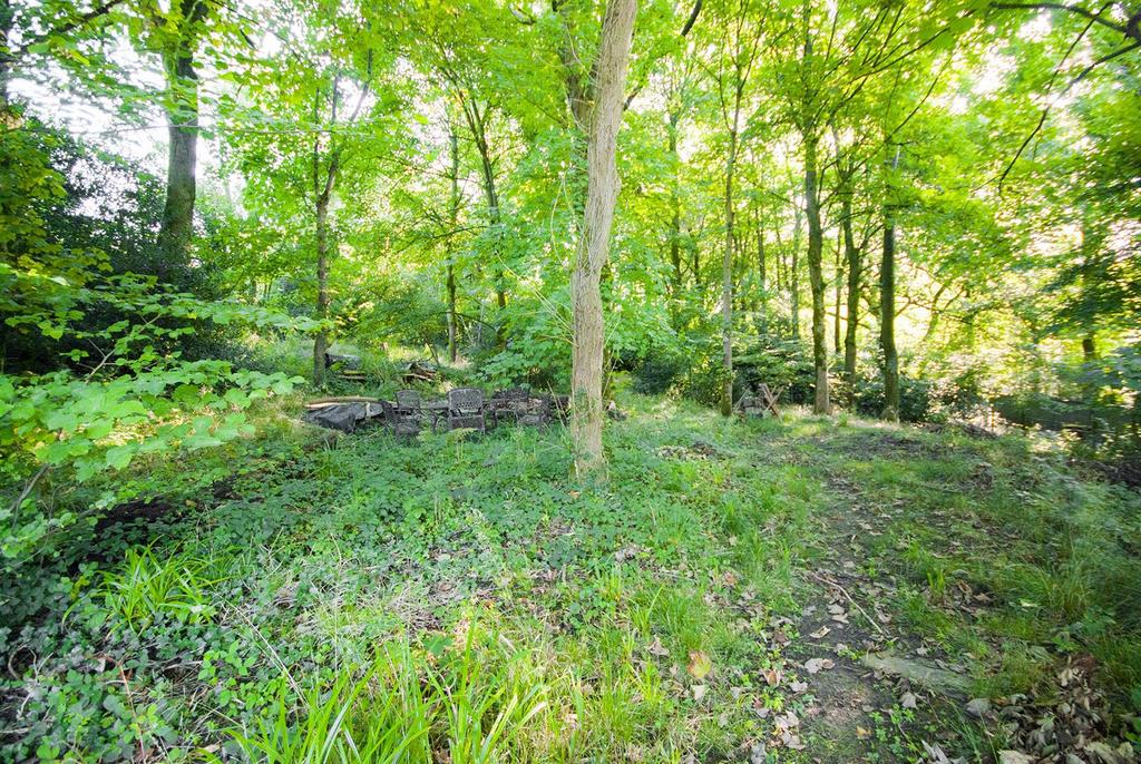 Woodland6.jpg