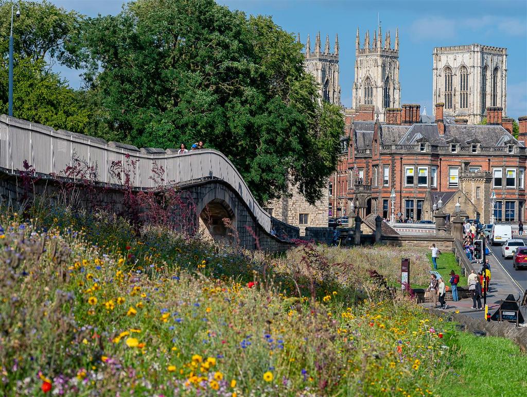 York
