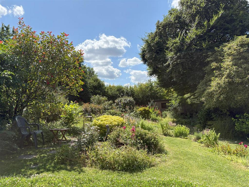 Garden (in July)