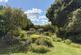 Garden (in July)