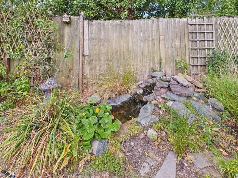 Pond
