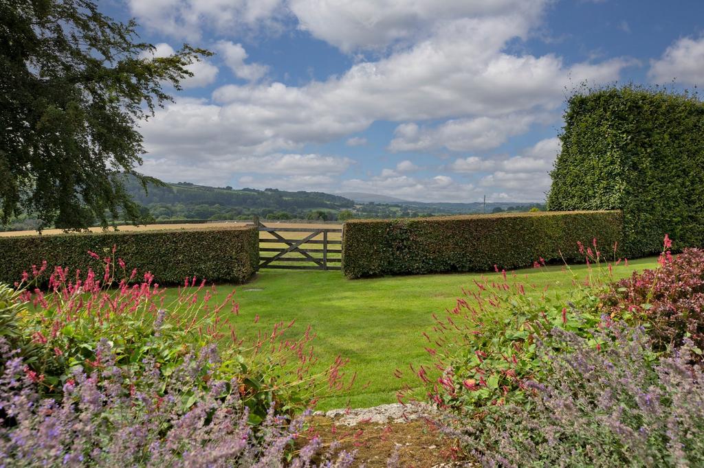 Grounds