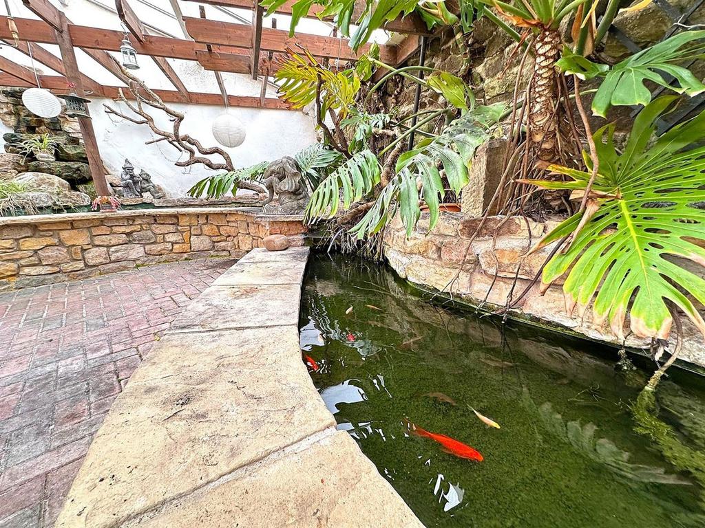 Fish pond 2 better shot.jpg