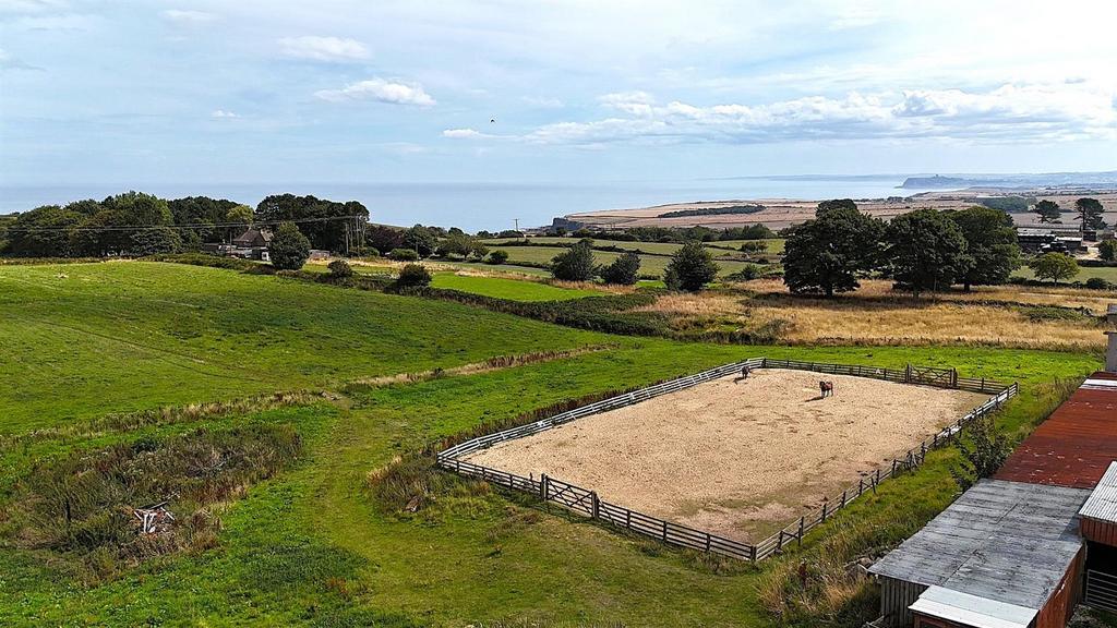 Side view paddock better shot.jpg