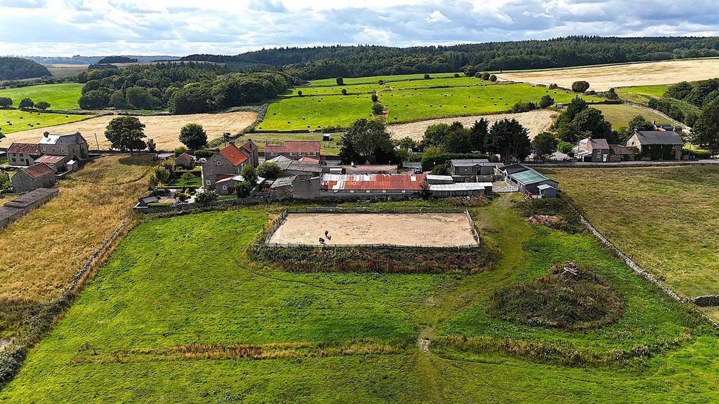 Straight shot back to house.jpg