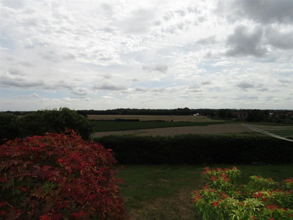 Img 8013.jpg