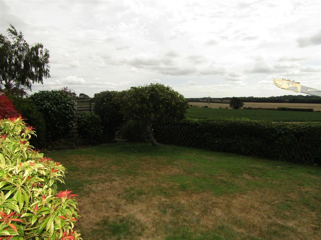 Img 8017.jpg