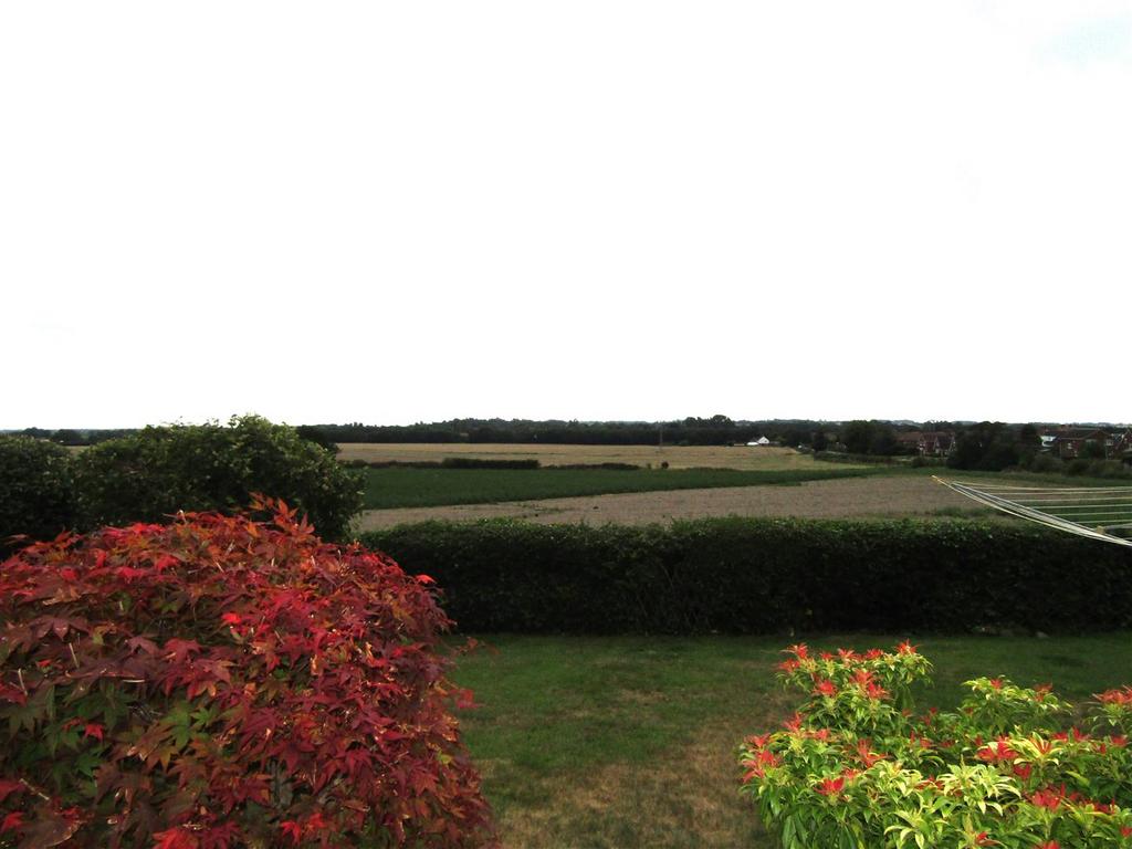 Img 8013.jpg