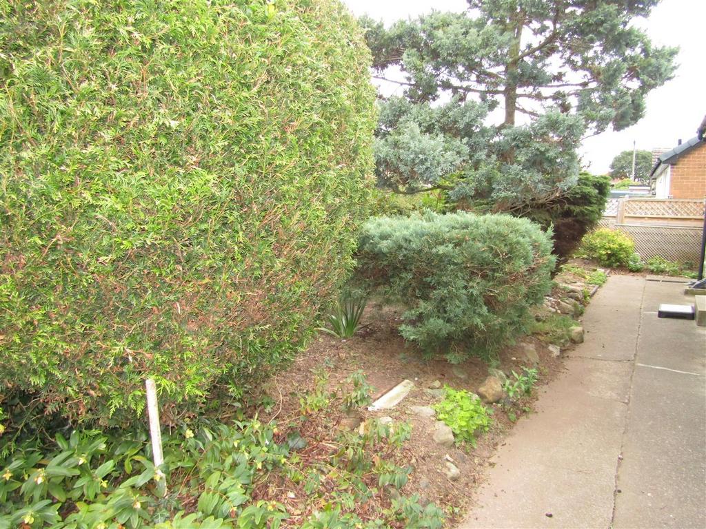 Img 8008.jpg