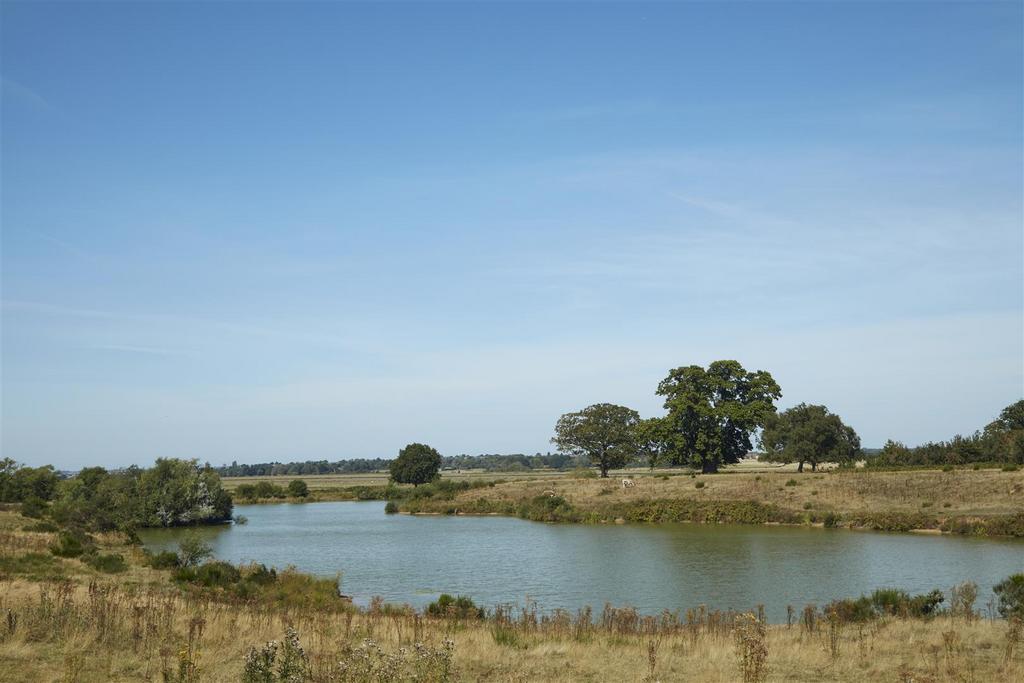 2191461-050.jpg