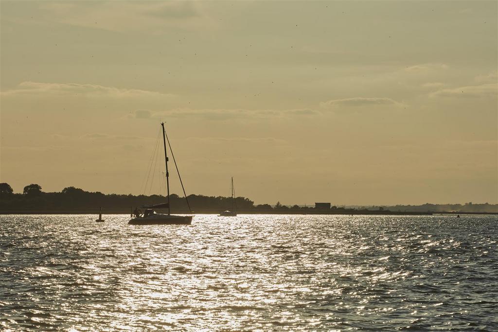 2191461-156.jpg