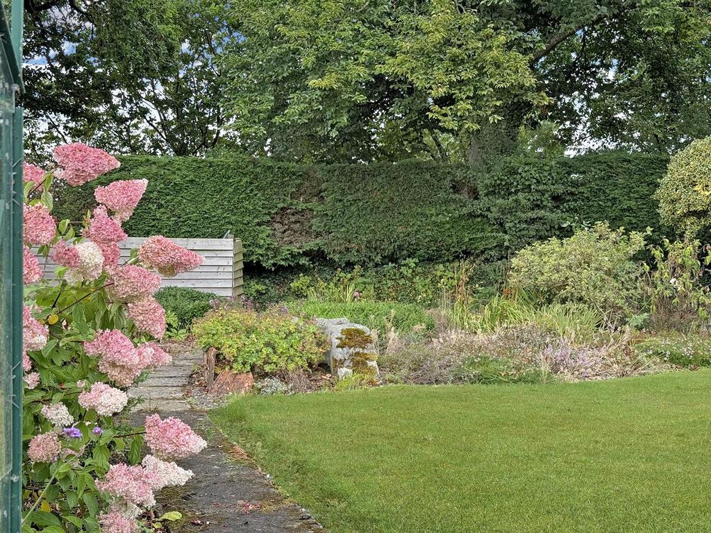 IMG 0481.jpg
