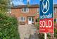 6 bibby - SOLD