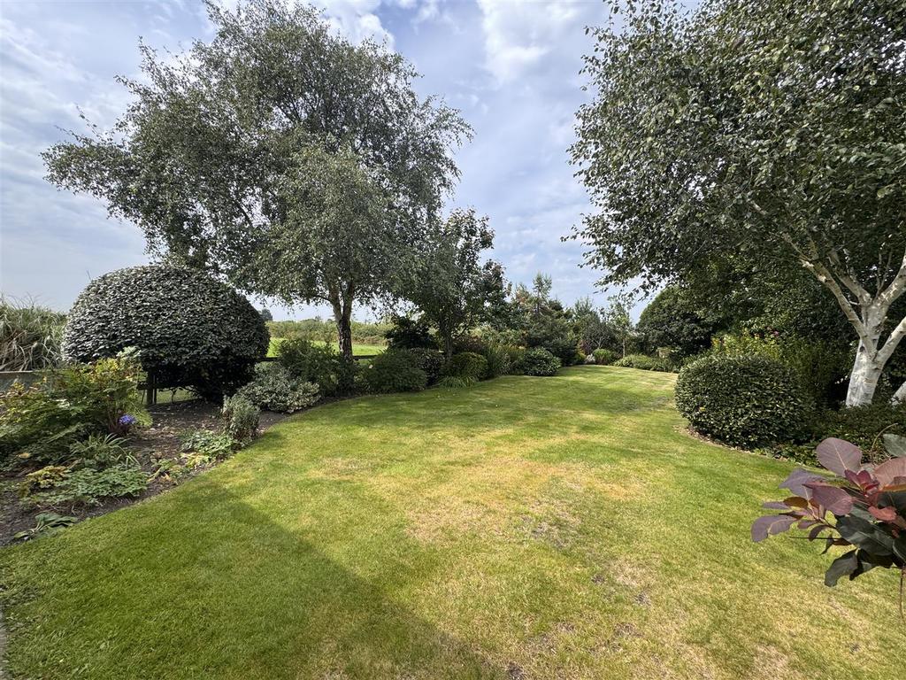 6 CC99408-B89 C-4037-AE3 C-CCEC100 F735 B.jpeg