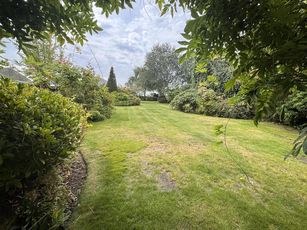 1 DDB6 A41-EC06-4864-A597-9 A5 DB4504 D43.jpeg