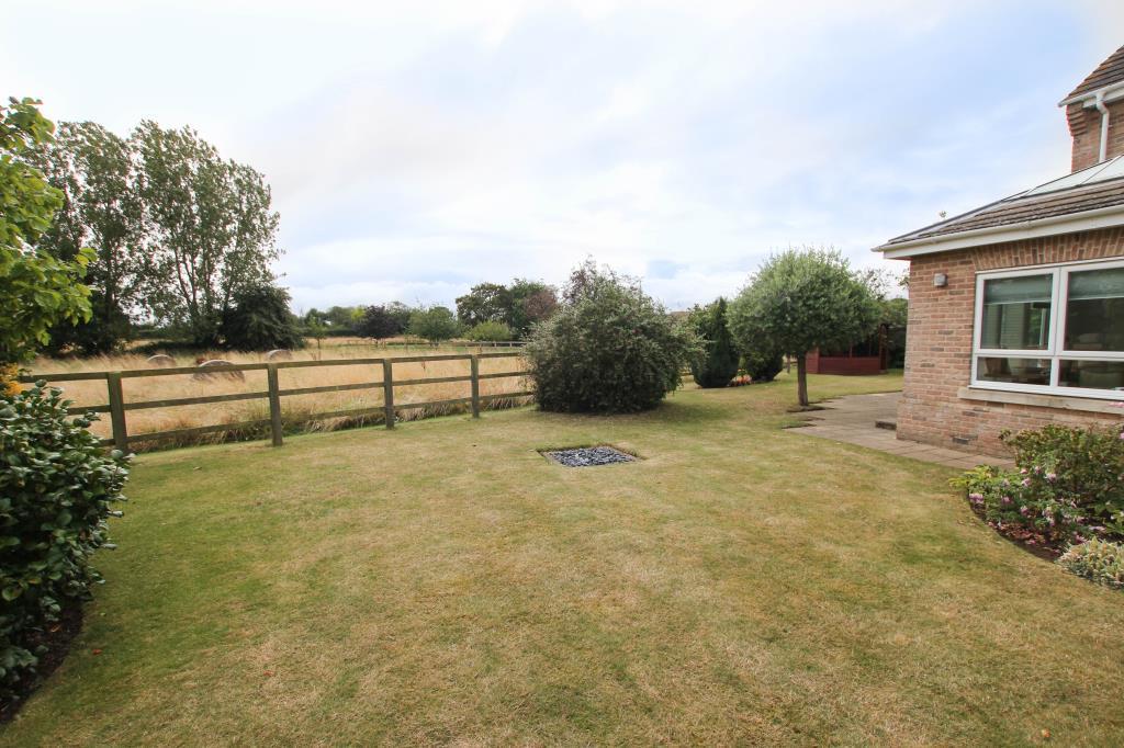 Garden2.JPG