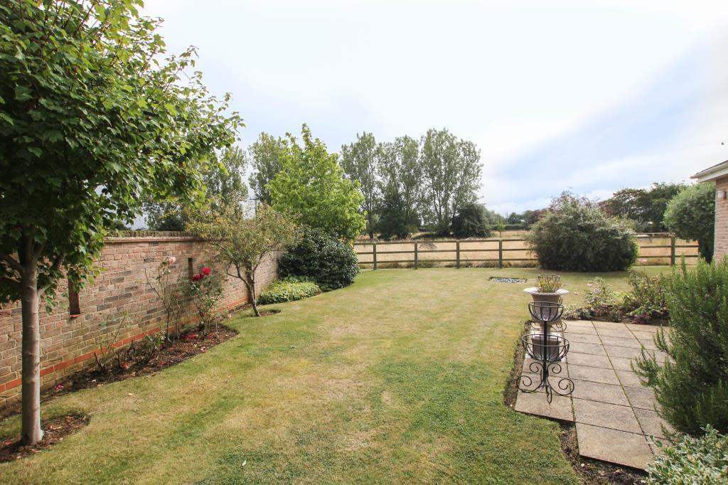 Garden.JPG