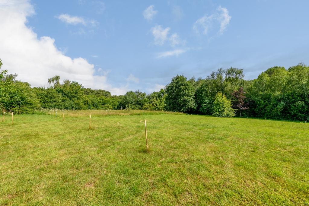 3 AC2 E0 D7-72 FD-4558-ACF0-E991 A46 E81 F1.jpeg