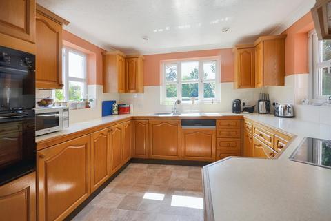 undefined, Kings Stag