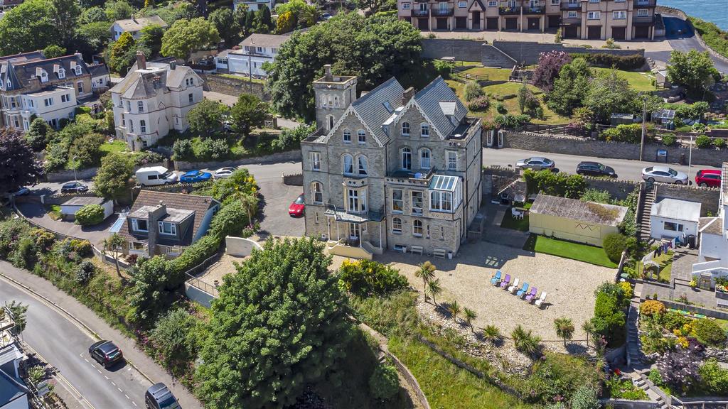 Drone View