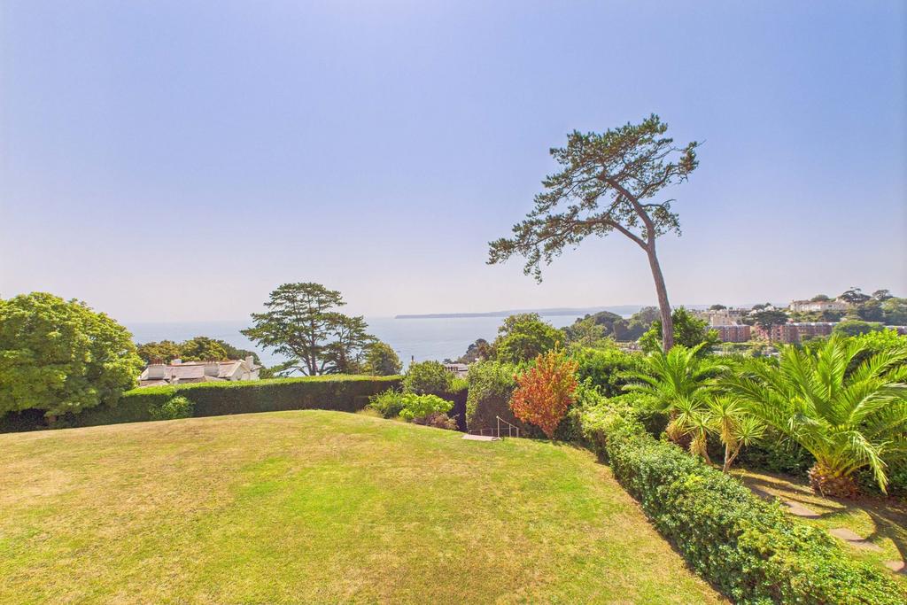 Roof Terrace View