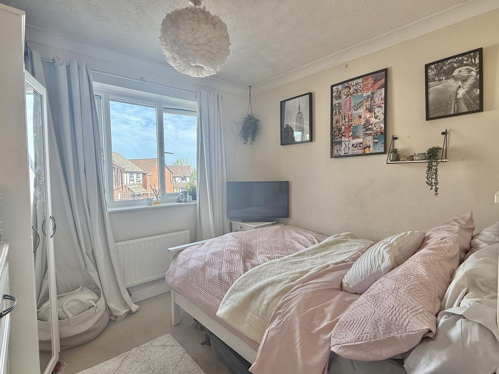 Img 3652.jpeg