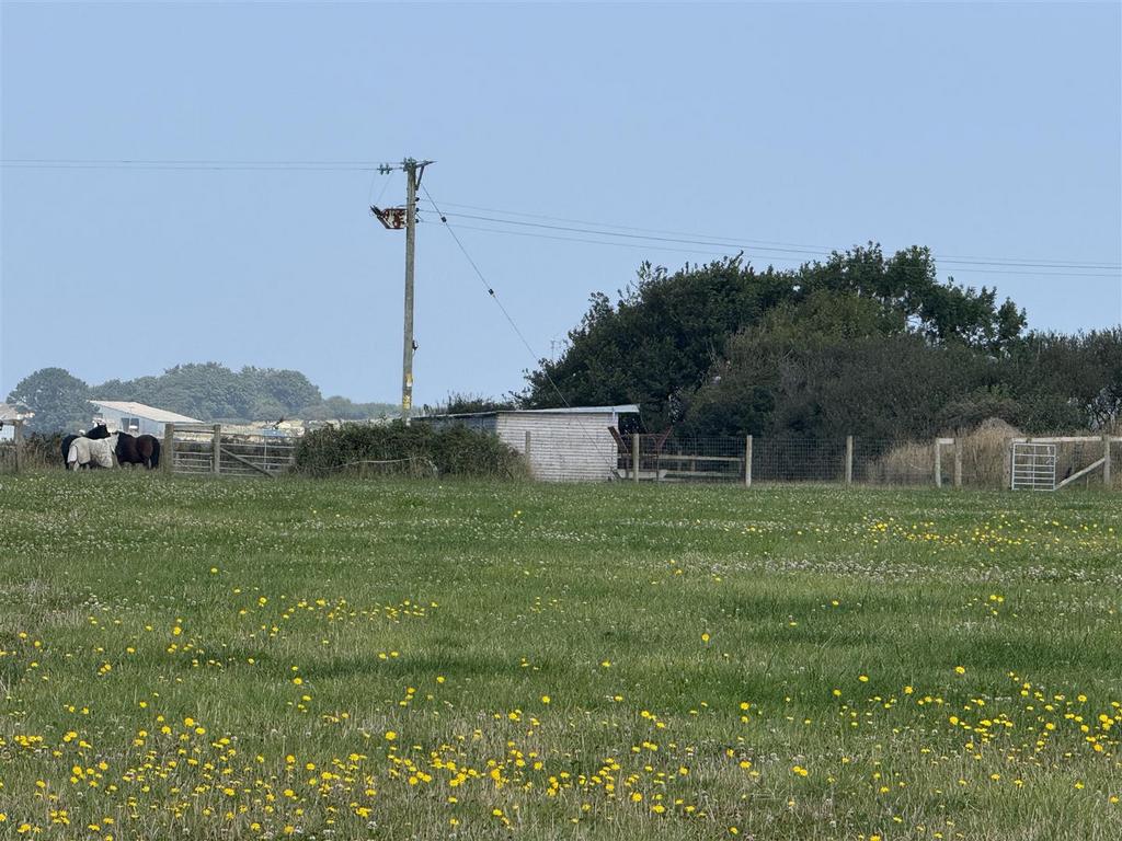 Img 4842.jpg