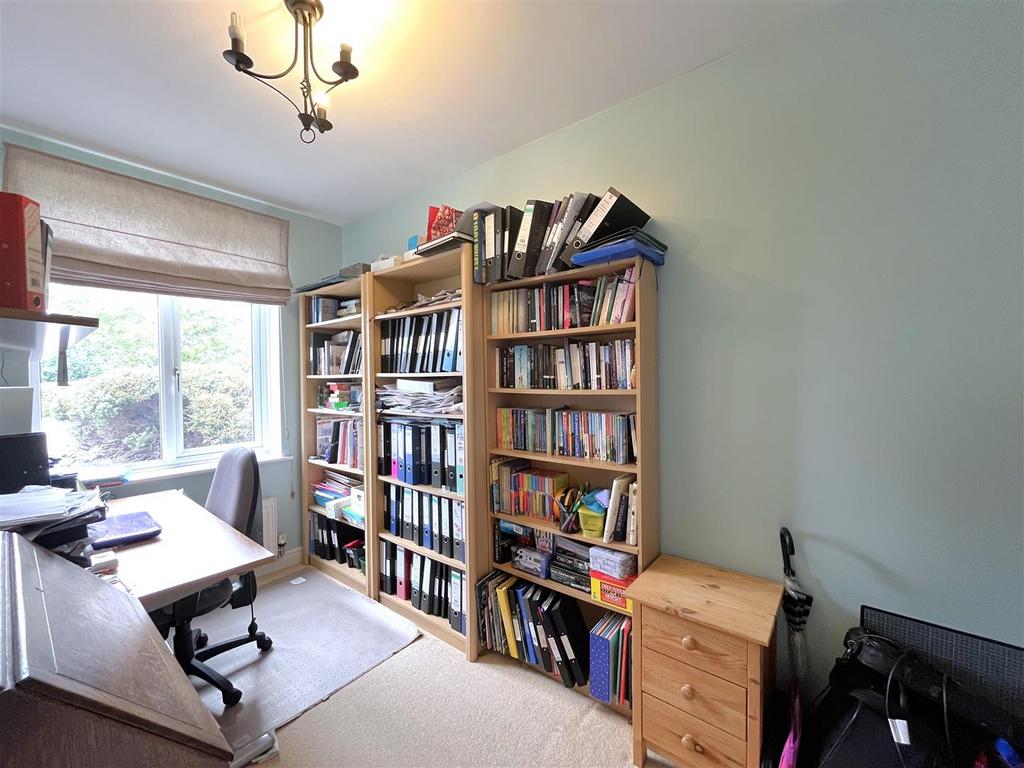 IMG 0233 (edited) .JPG