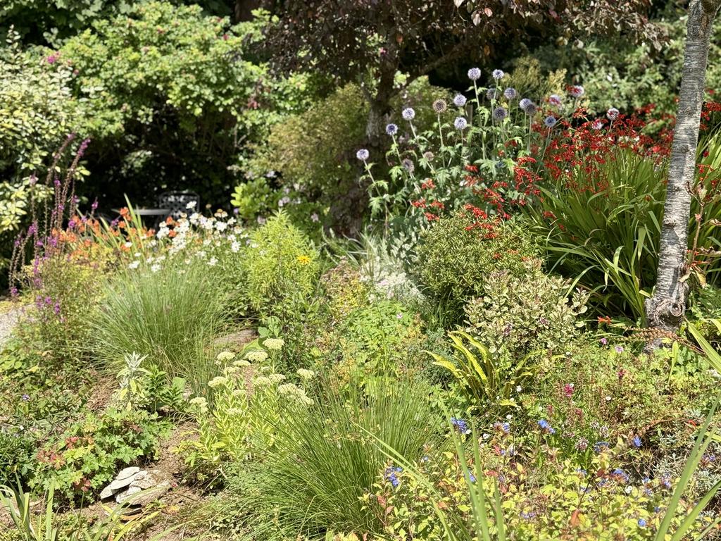 Pretty Flower Beds