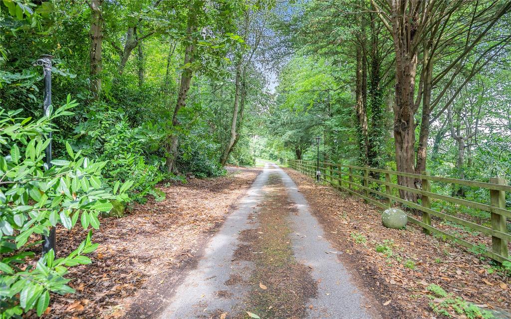Driveway