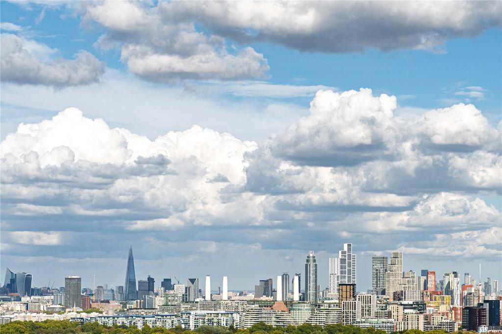 Skyline View