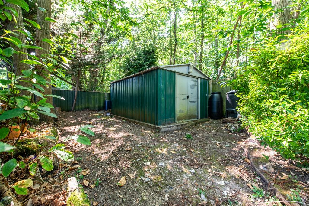Woodland Area
