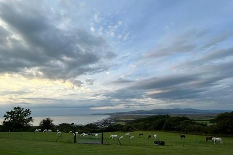 undefined, Borth SY24