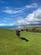 Additional image 6 of Borth SY24