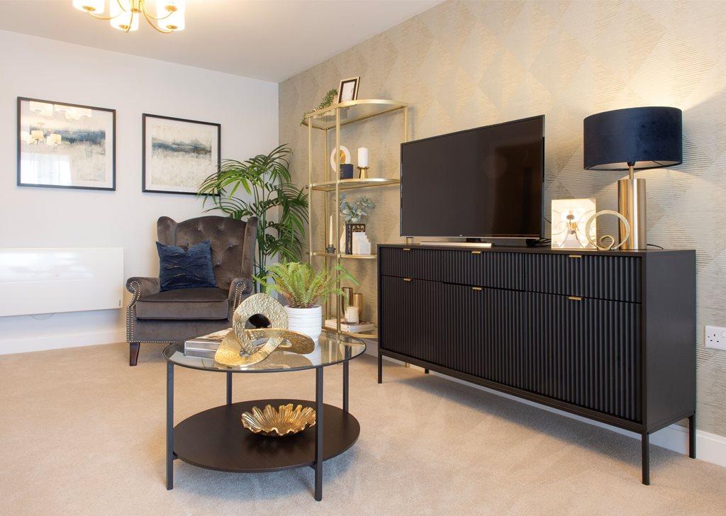 Show home living room