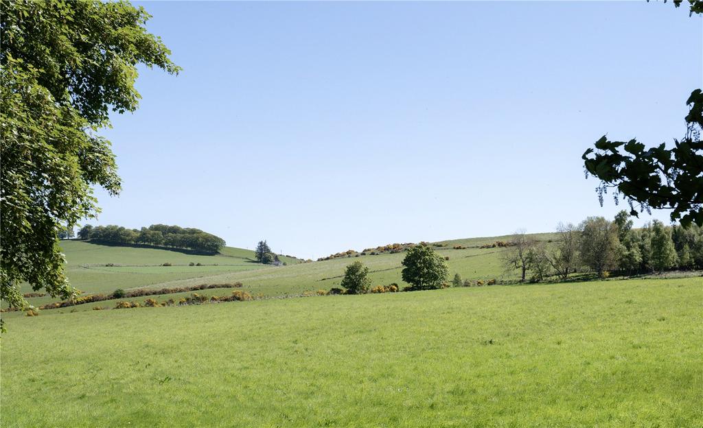 Pasture