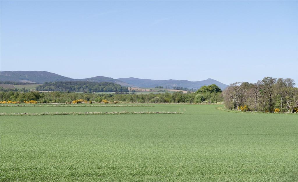 Arable