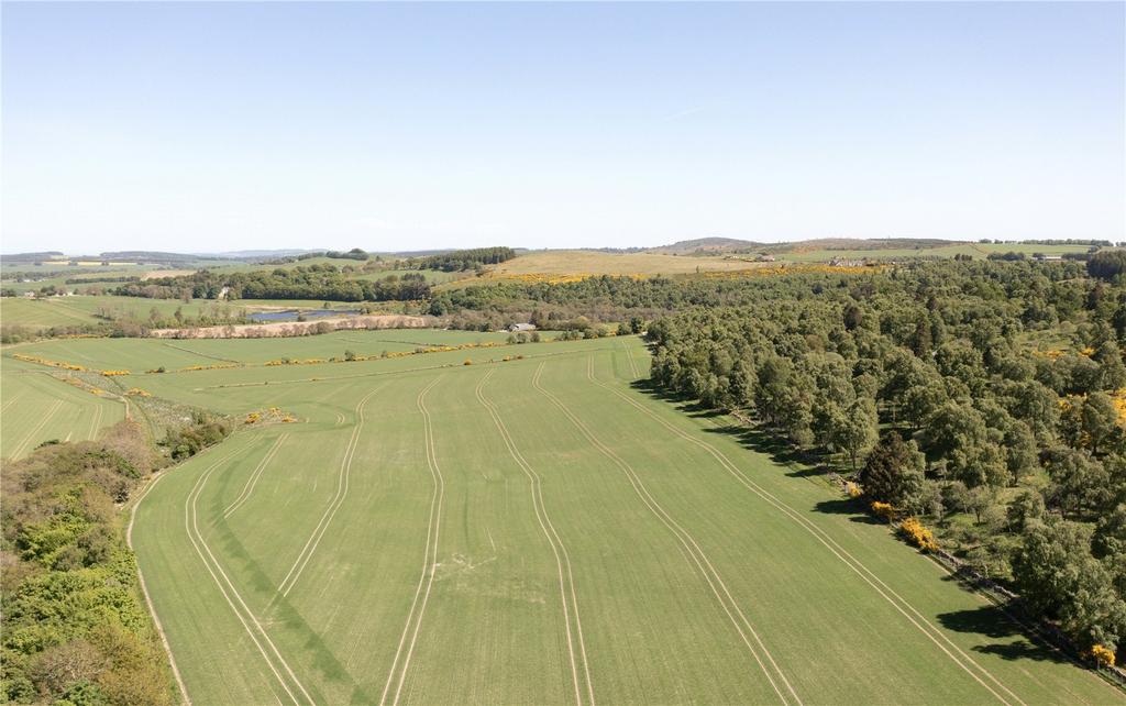 Arable