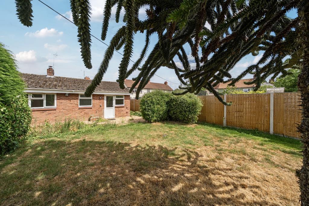 Photos