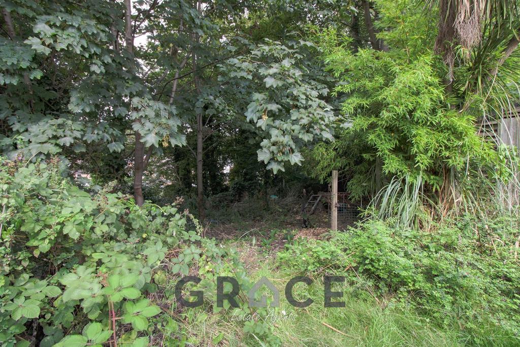 Untitled HDR-12 1.jpg