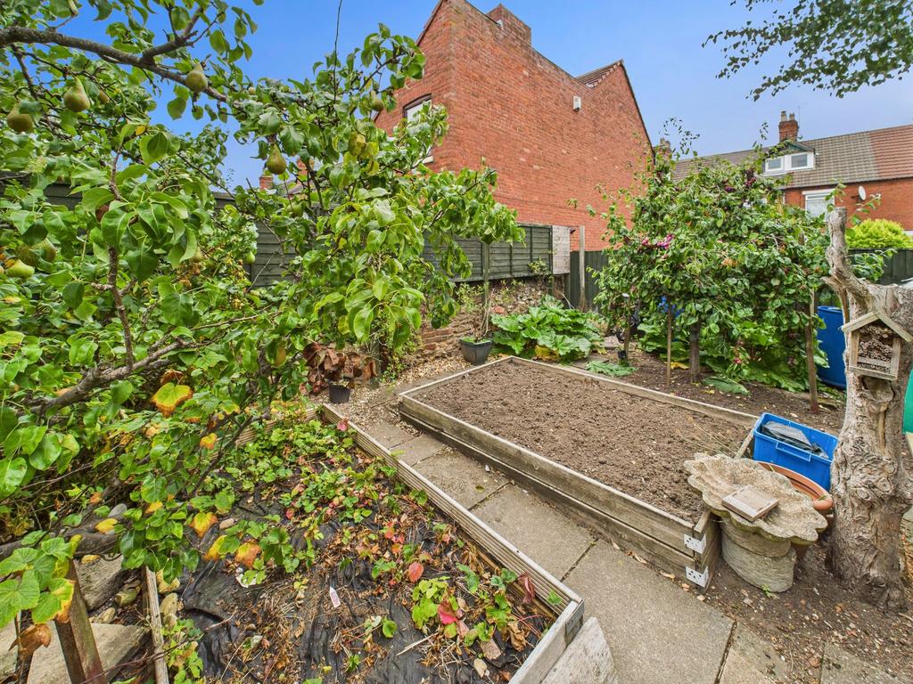 Vegetable Patch