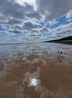 undefined, Cliff Road, Skipsea Driffield